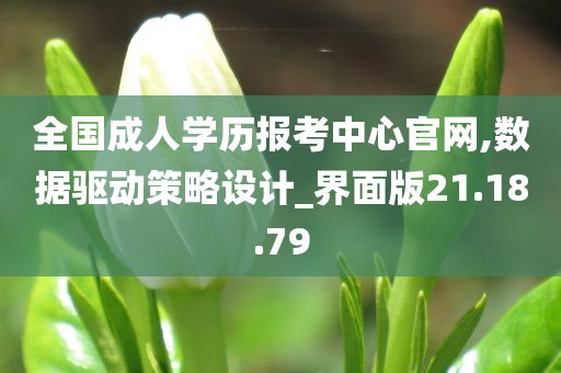 全国成人学历报考中心官网,数据驱动策略设计_界面版21.18.79