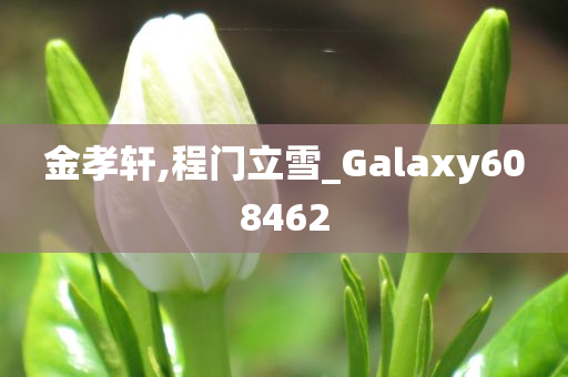 金孝轩,程门立雪_Galaxy608462