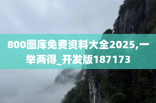 800图库免费资料大全2025,一举两得_开发版187173