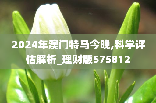 2024年澳门特马今晚,科学评估解析_理财版575812