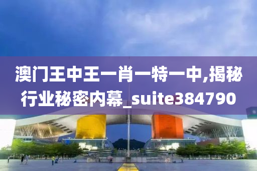 澳门王中王一肖一特一中,揭秘行业秘密内幕_suite384790