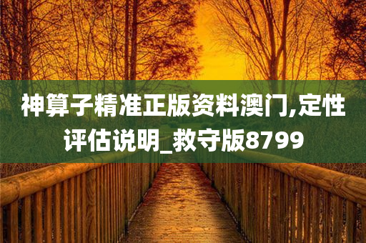 神算子精准正版资料澳门,定性评估说明_救守版8799