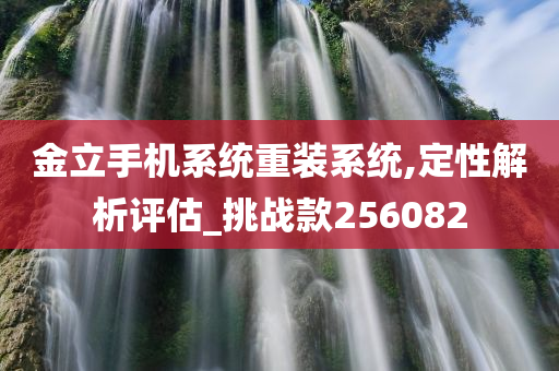 金立手机系统重装系统,定性解析评估_挑战款256082