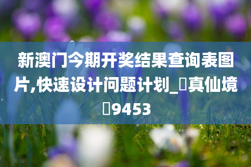 新澳门今期开奖结果查询表图片,快速设计问题计划_‌真仙境‌9453