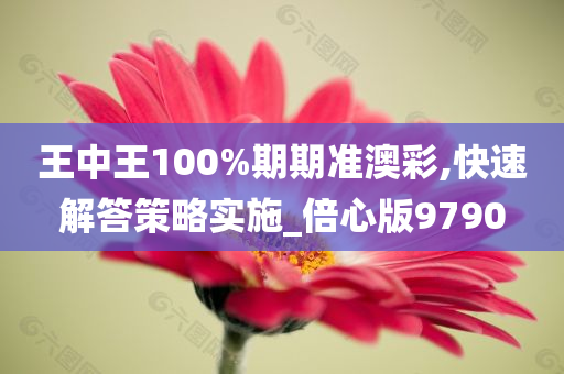 王中王100%期期准澳彩,快速解答策略实施_倍心版9790