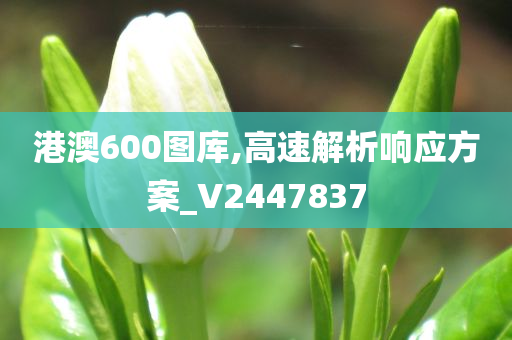 港澳600图库,高速解析响应方案_V2447837