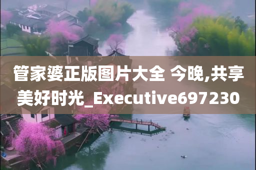 管家婆正版图片大全 今晚,共享美好时光_Executive697230