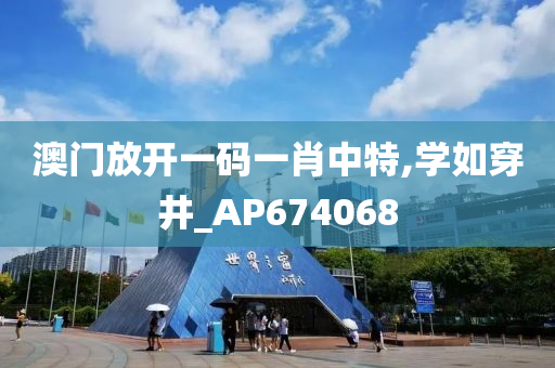 澳门放开一码一肖中特,学如穿井_AP674068