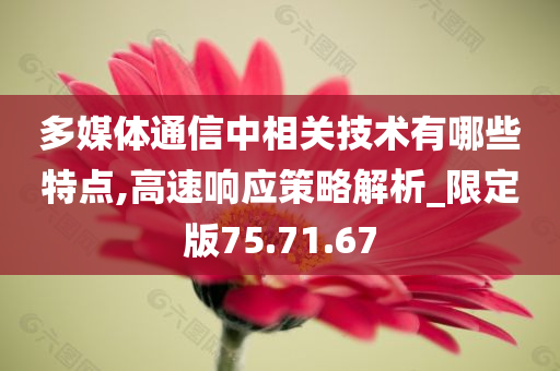 多媒体通信中相关技术有哪些特点,高速响应策略解析_限定版75.71.67