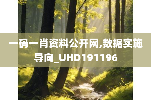 一码一肖资料公开网,数据实施导向_UHD191196