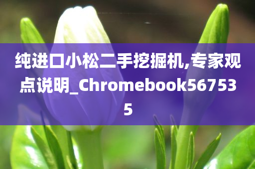 纯进口小松二手挖掘机,专家观点说明_Chromebook567535