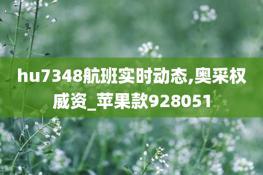 hu7348航班实时动态,奥采权威资_苹果款928051