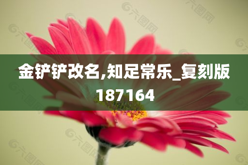 金铲铲改名,知足常乐_复刻版187164