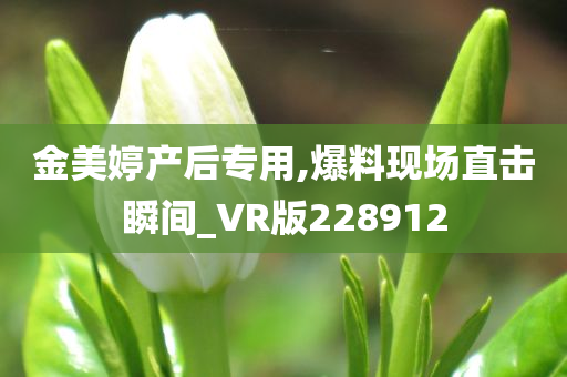 金美婷产后专用,爆料现场直击瞬间_VR版228912