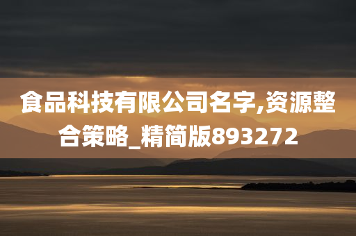 食品科技有限公司名字,资源整合策略_精简版893272