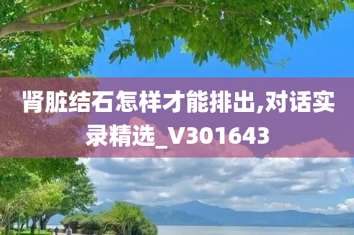 肾脏结石怎样才能排出,对话实录精选_V301643