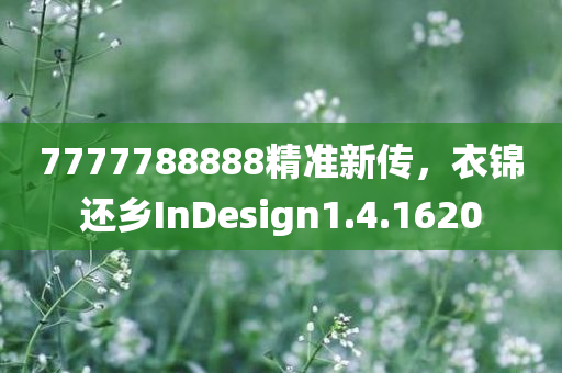 7777788888精准新传，衣锦还乡InDesign1.4.1620