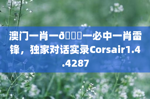 澳门一肖一🐎一必中一肖雷锋，独家对话实录Corsair1.4.4287