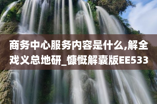 商务中心服务内容是什么,解全戏义总地研_慷慨解囊版EE533