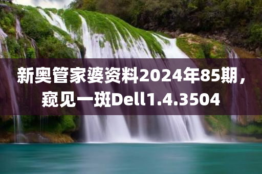 新奥管家婆资料2024年85期，窥见一斑Dell1.4.3504