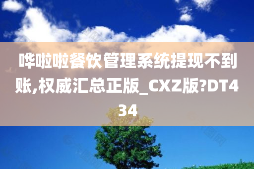 哗啦啦餐饮管理系统提现不到账,权威汇总正版_CXZ版?DT434