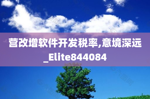 营改增软件开发税率,意境深远_Elite844084