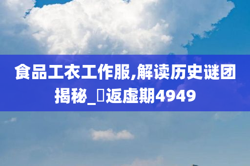 食品工衣工作服,解读历史谜团揭秘_‌返虚期4949