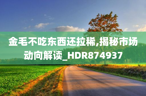 金毛不吃东西还拉稀,揭秘市场动向解读_HDR874937