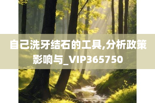 自己洗牙结石的工具,分析政策影响与_VIP365750