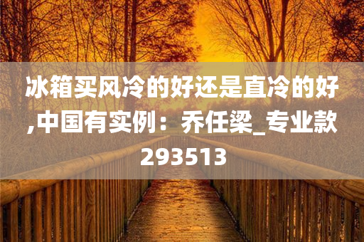 冰箱买风冷的好还是直冷的好,中国有实例：乔任梁_专业款293513