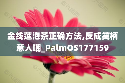 金线莲泡茶正确方法,反成笑柄惹人嘲_PalmOS177159