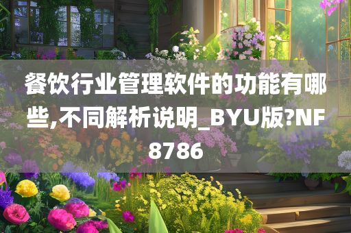 餐饮行业管理软件的功能有哪些,不同解析说明_BYU版?NF8786