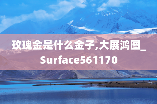 玫瑰金是什么金子,大展鸿图_Surface561170