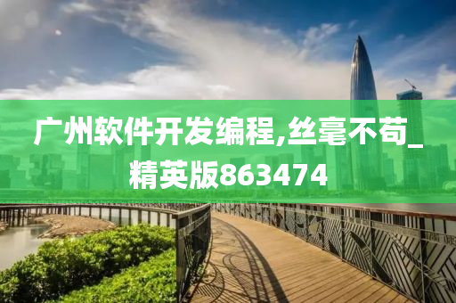 广州软件开发编程,丝毫不苟_精英版863474