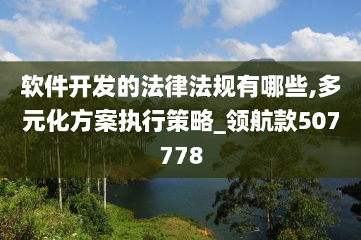 软件开发的法律法规有哪些,多元化方案执行策略_领航款507778