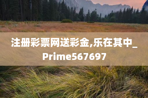 注册彩票网送彩金,乐在其中_Prime567697