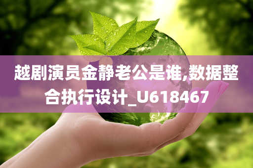 越剧演员金静老公是谁,数据整合执行设计_U618467