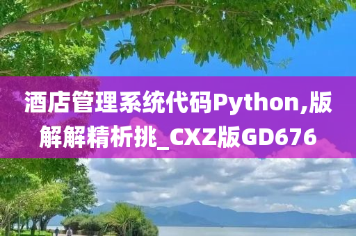 酒店管理系统代码Python,版解解精析挑_CXZ版GD676