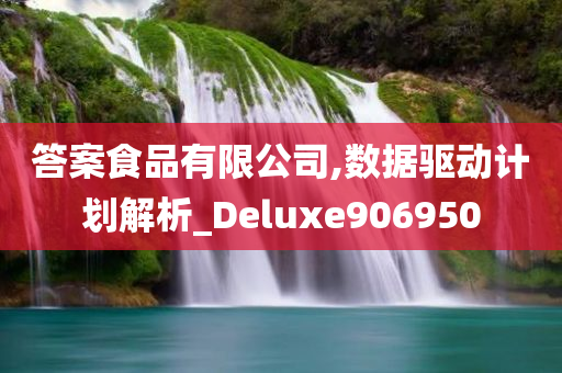 答案食品有限公司,数据驱动计划解析_Deluxe906950