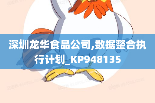 深圳龙华食品公司,数据整合执行计划_KP948135