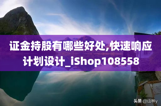 证金持股有哪些好处,快速响应计划设计_iShop108558