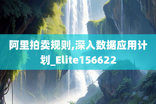 阿里拍卖规则,深入数据应用计划_Elite156622