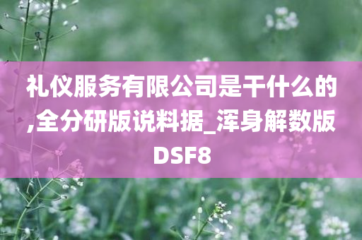 礼仪服务有限公司是干什么的,全分研版说料据_浑身解数版DSF8