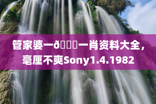 管家婆一🐎一肖资料大全，毫厘不爽Sony1.4.1982