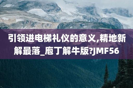 引领进电梯礼仪的意义,精地新解最落_庖丁解牛版?JMF56