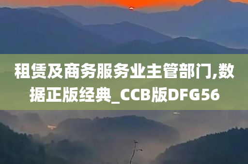 租赁及商务服务业主管部门,数据正版经典_CCB版DFG56