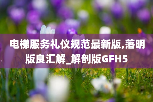 电梯服务礼仪规范最新版,落明版良汇解_解剖版GFH5