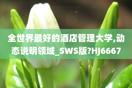 全世界最好的酒店管理大学,动态说明领域_SWS版?HJ6667