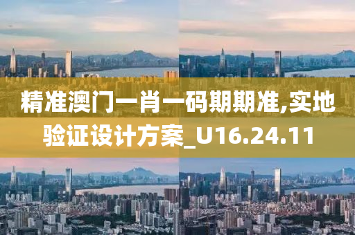 精准澳门一肖一码期期准,实地验证设计方案_U16.24.11