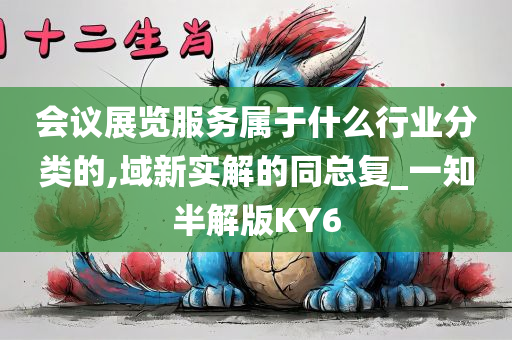 会议展览服务属于什么行业分类的,域新实解的同总复_一知半解版KY6